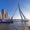 Rotterdam is de moordhoofdstad van Nederland