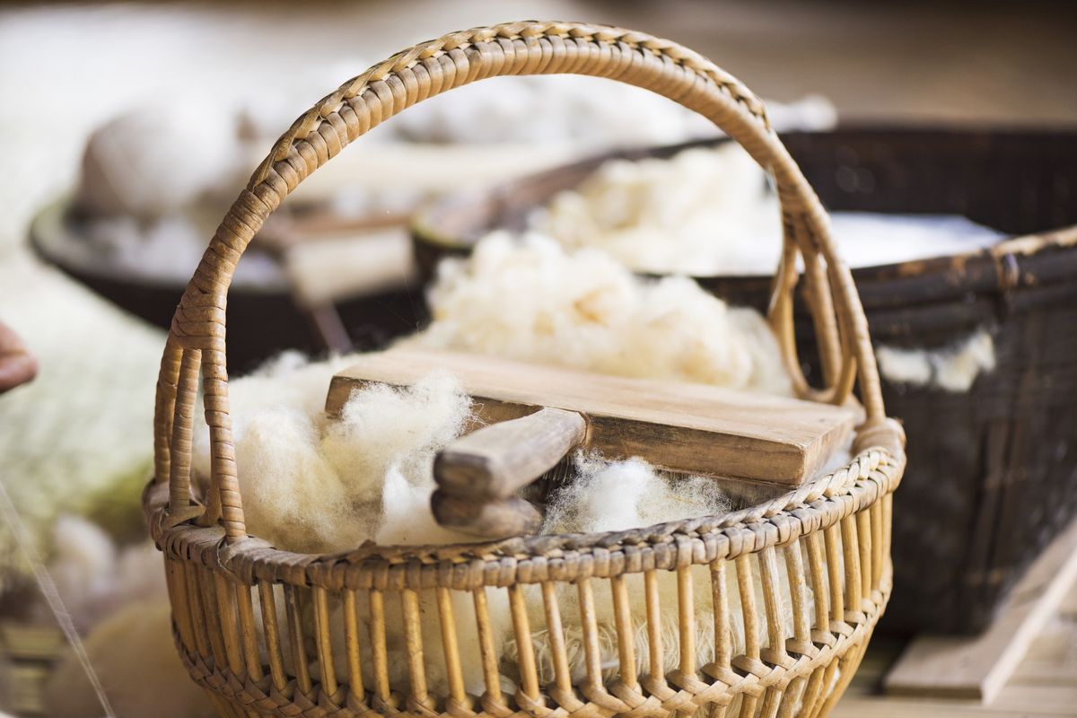 1/7: Wolfestival in Orvelte