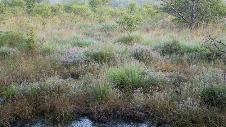 Op avontuur in het niemandsland van de Achterhoek