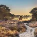 Drenthe