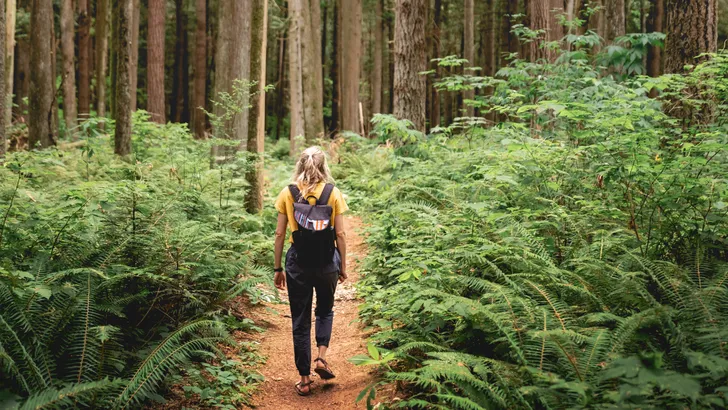 Haal meer uit je dagelijkse wandeling met dit verzwaarde trainingsvest
