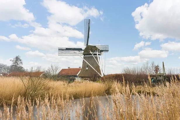 Molenaarswoning in Nijetrijne