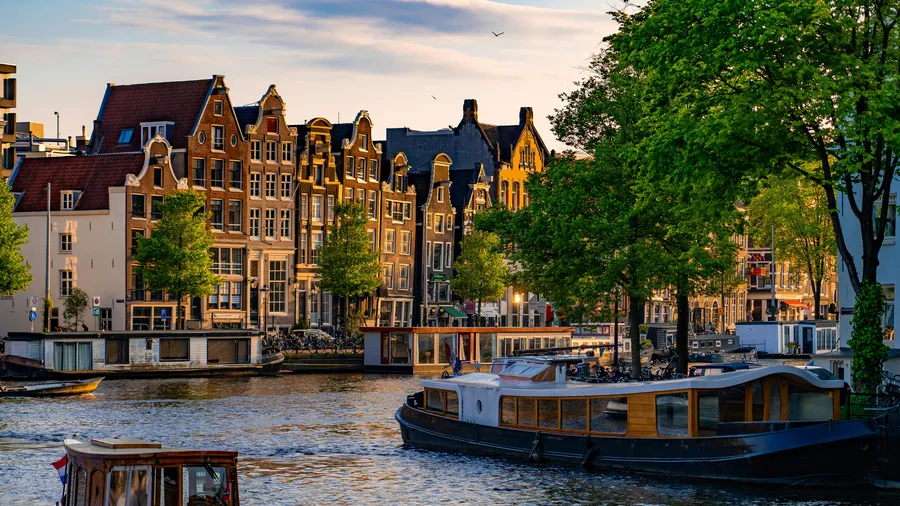 Vegan steden