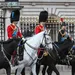 buckingham palace