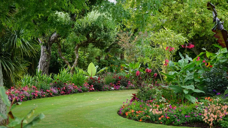 Hoe maak je meer privacy in je tuin zonder dat het ongezellig wordt?