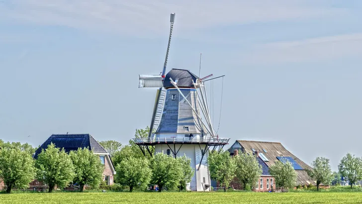 Molen