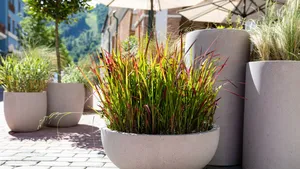 Bloempotten in de tuin.