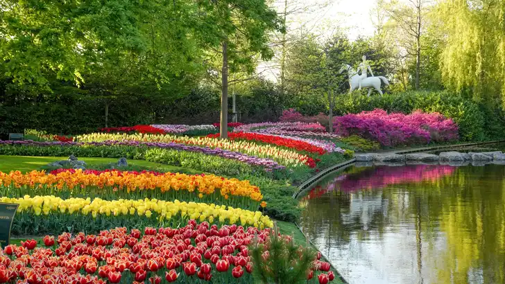 Keukenhof