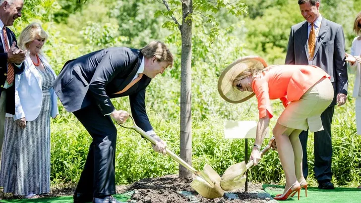 Een royal boompje opzetten, zó doe je dat