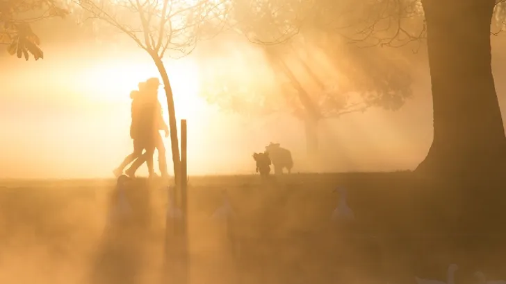 5 winterse wandelingen voor een lekker fris begin van het jaar