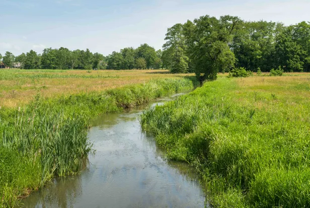 Waterloop in Nationaal Park Drentsche Aa