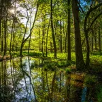 Hellingtrekken in het Rijk van Nijmegen