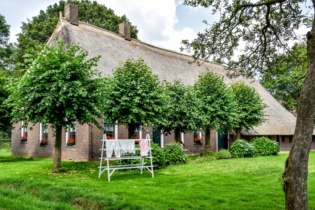 Op zoek naar ultieme rust? Deze 5 Drentse brinkdorpen voelen als een warm bad