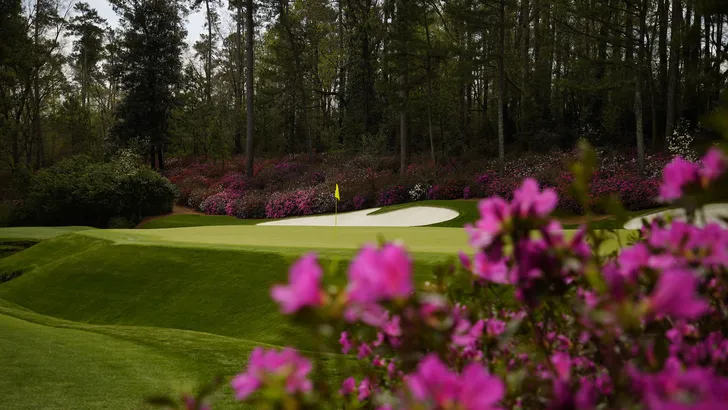 Azalea's