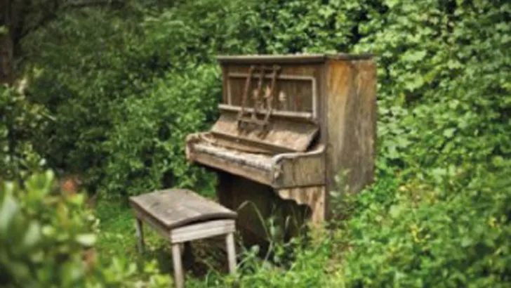 DE TUINEN van appeltern: Acoustic Nights