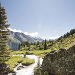 De 5 mooiste zomerse wandelingen in Oostenrijk