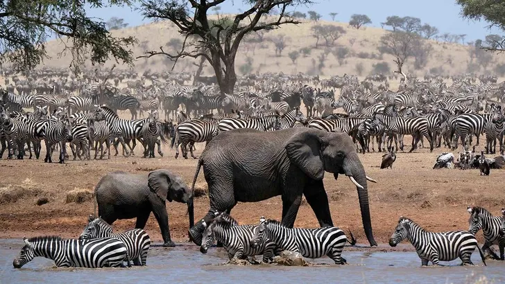 David Attenborough laat je Afrika zien