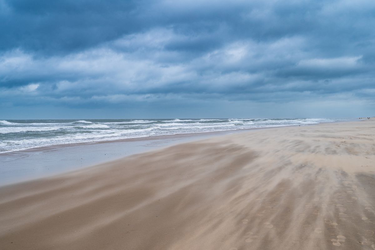 Simkaart in broekzak onthult identiteit van aangespoelde lichaamsdelen op Texel