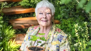 Judi Dench