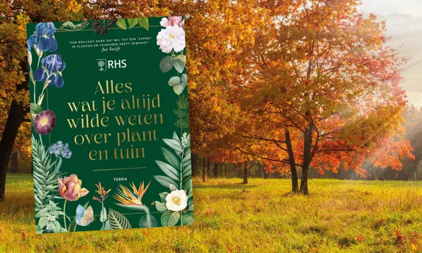 Alles wat je altijd wilde weten over plant en tuin