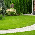 Tuin
