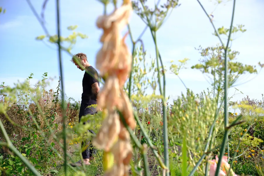 Foto 5 van Branding & Citrus