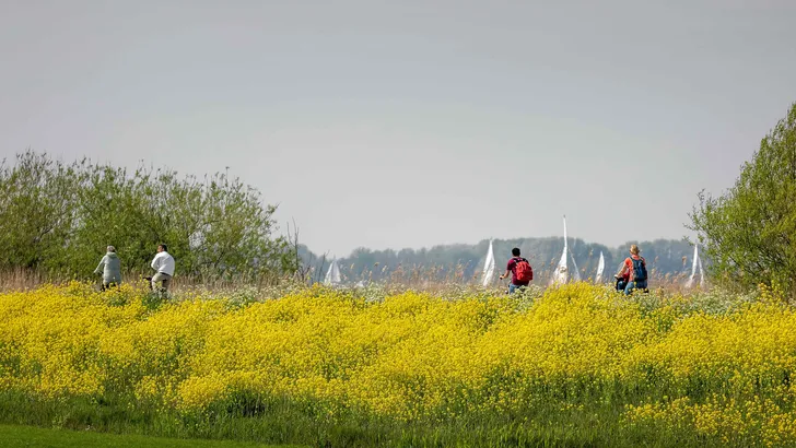 Fietsroute Friesland