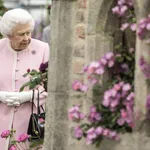 RHS Chelsea Flower Show Press day