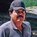 El Mayo