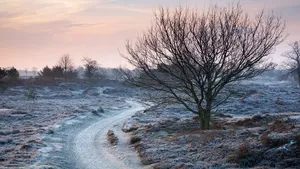 winter wandelen drente 