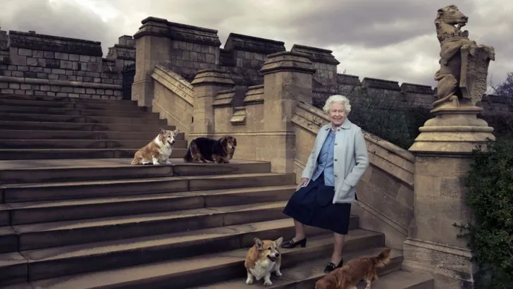 Verdrietig: Queen heeft nog maar één corgi…