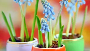 DIY voor Pasen