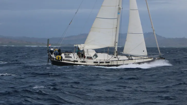 Hoog tegen de harde wind in