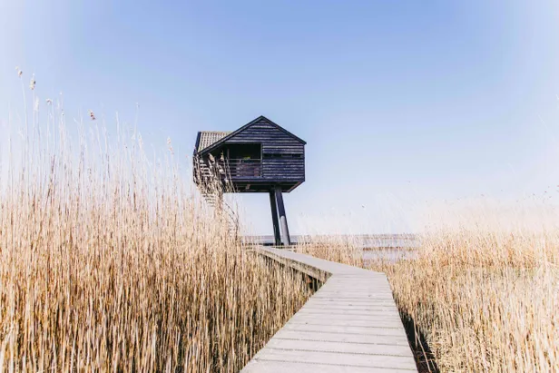 Vogelkijkhut de Kiekkaaste in het Dollard-gebied