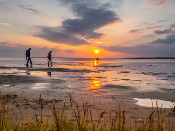 Wadlopen