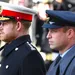Prins Harry en William begraven de strijdbijl
