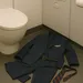 Steward