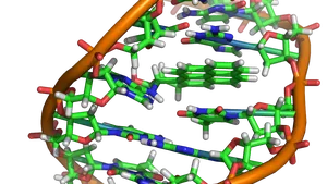 Hulpmiddelen binnen een misdaadonderzoek