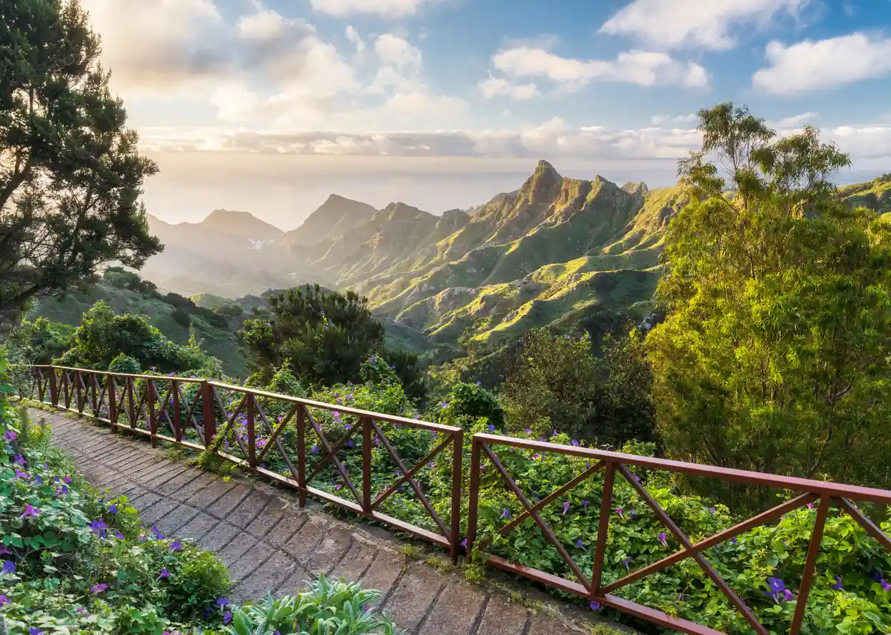 Het Anaga-gebergte op Tenerife staat bekend om zijn mysterieuze bossen, mistige wegen en spectaculaire uitzichtpunten.