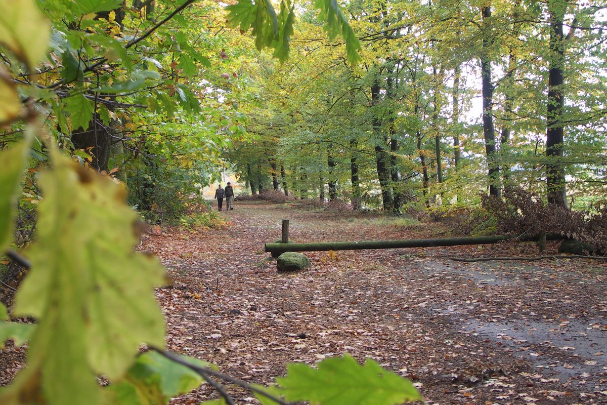 Zondag 10 oktober: Herfstwandeling in Ekehaar