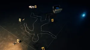 Fascinatie mannen misdaad