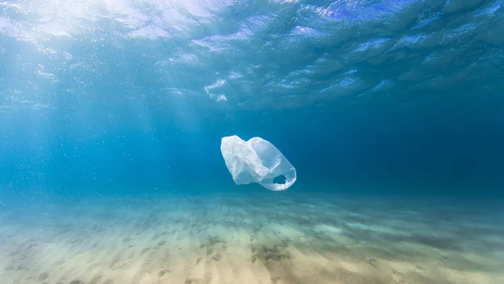 Deze foto's van plastic massa in de Caraïbische Zee zijn schokkend