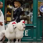 Smelten bij de trailer van Lady en de Vagebond