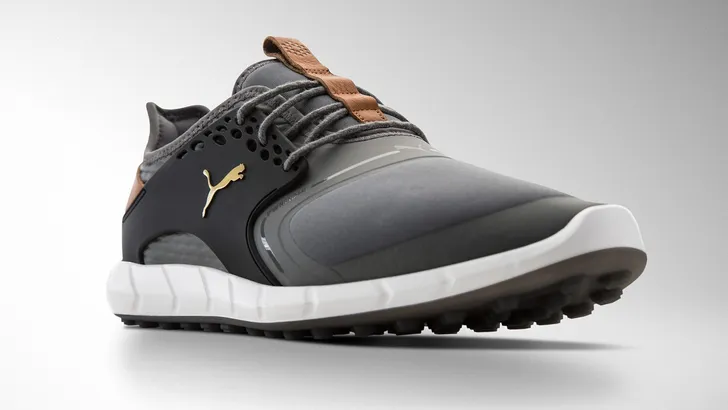 Puma 2018