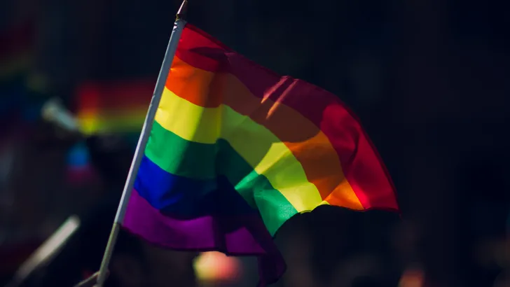 regenboogvlaggen