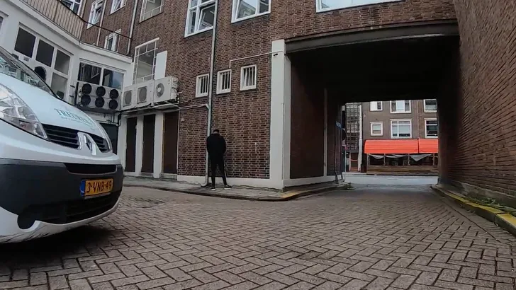 Pisvlek