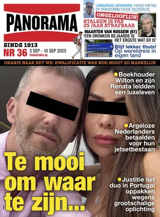 Cover Panorama: 36/2025