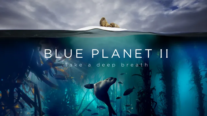 Zien: De trailer van de indrukwekkende film Blue Planet 2