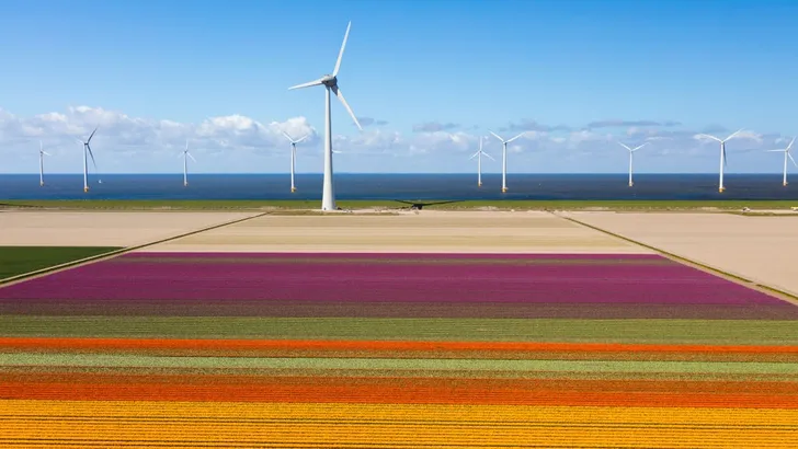 Het paradijs op aarde begint in Nederland
