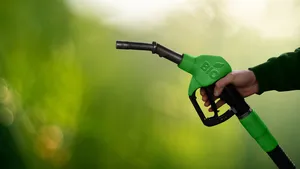 Waarom je hoop op 'groene' benzine ijdele hoop is: de bizarre waarheid achter biobrandstof